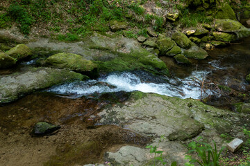 Flu&szlig; Grobbach in Baden-Baden zum Wasserfall Geroldsau