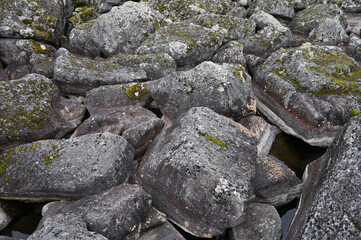 Gray stones on the shore of the lake