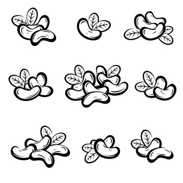 Cashew nuts set. Collection cashew nuts icons. Vector