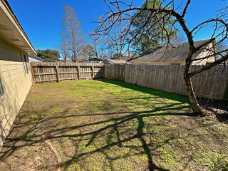 Suburban house backyard with wood fence with a dead tree giving shadow to the grass.