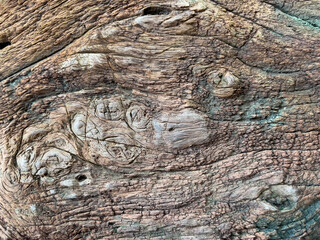 Wood texture