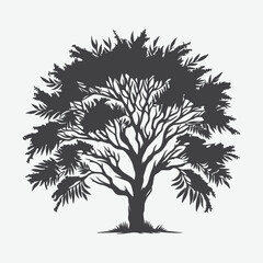 Fototapeta premium Print Majestic Wattle Tree Silhouette, A Serene Tribute to Nature's Elegance