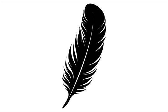 recommend clip art: feather silhouette , Bird Feather Silhouette