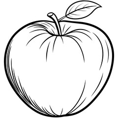 Apple outline coloring book page line art drawing vector illustration for children and adults