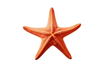 A close-up of a red starfish isolated on a black background.