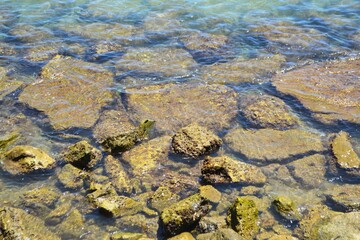 tropical background of rocks beach under water. Underwater oasis: vibrant rocks and serene sandy beach