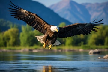 Beautiful nature background, eagle flying over a lake, forest and mountains background.