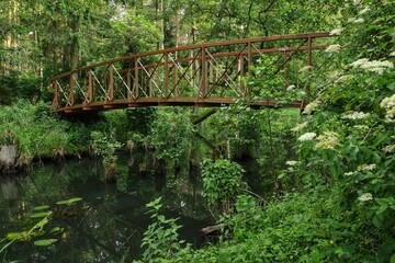 A footbridge on the left-bank Skrwa river flowing through the forest.