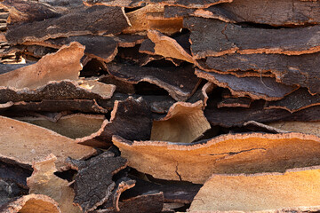 Corcho en planchas.