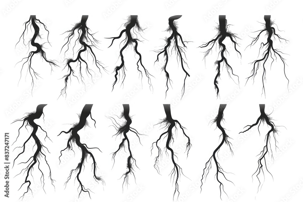 Poster Black and white image of tree roots with intricate patterns and shapes