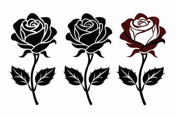 rose vector illustration