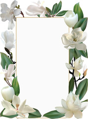 magnolia flowers frame isolated on white
