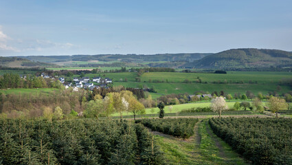 white houses in village near schmallenberg in spring and surrounding countryside