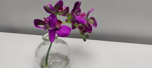 Purple and green flowers in a glass vase on a white table.
