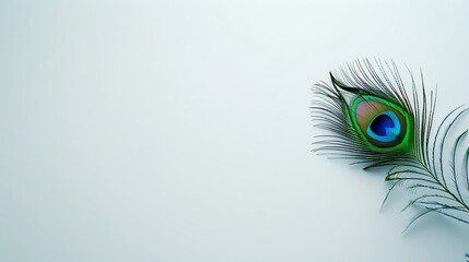 Obraz premium independence day, tourism, liberty, pigeon, 15 august, happy independence day, republic day, flag, india, patriotism, vector, background, illustration, august, celebration, freedom, independence, nati