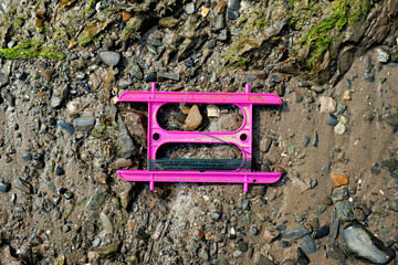 Bright pink plastic crab fishing line left on rocky shore, highlighting play and nature on a beach.