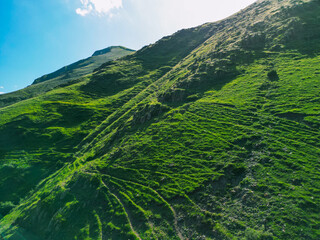 Green grassy mountain landscape - drone photo wallpaper background