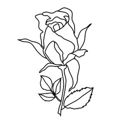 Rose with leaves line illustration. Blooming flower. botanical flower icon in minimalist style. Editable strokes, thin line, for label, flower shop, beautyand logo.
