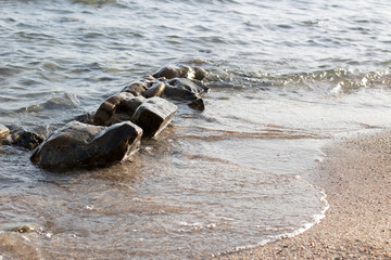 Seascape with rocks and shore of the sea.
Beautiful seascape in mediterranean sea
