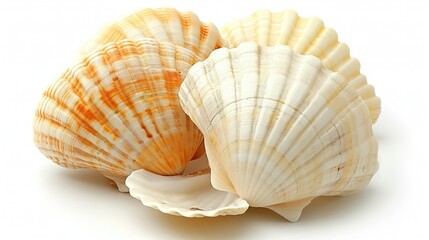 Obraz premium one is orange and the other is white with a brown stripe