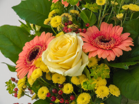 Bouquet of pink and yellow flowers