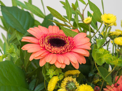 Bouquet of pink and yellow flowers