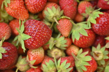 close-up strawberry berry texture, organic strawberry fruit small summer juicy strawberries 