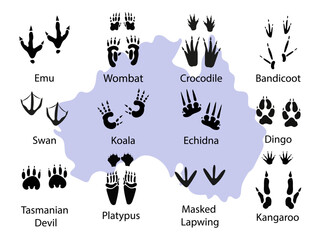 Australian animals paw prints. Different wild animals footprints black on white illustration. Dingo, crocodile, echidna, bandicoot, swan, kangaroo, koala, emu, platypus, wombat for your design. Vector