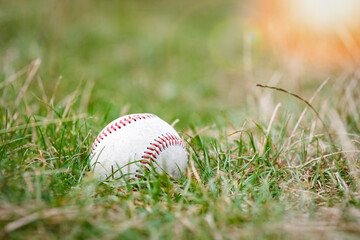 A concept baseball ball in nature in the park on the field