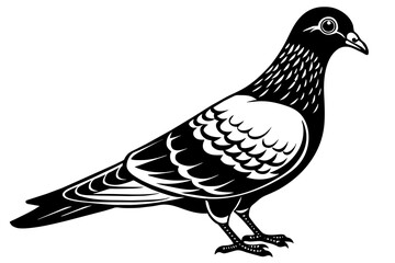 pigeon silhouette vector illustration