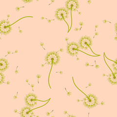Dandelion seamless background for cover, packaging, fabric decorative design. Abstract vector design element. Floral seamless background. Abstract texture.