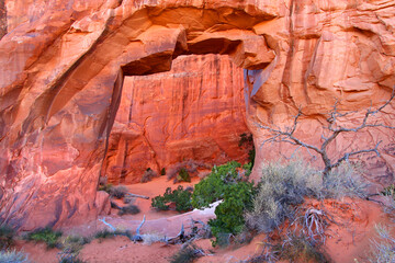 Pine Tree Arch at Arches National Park in Utah