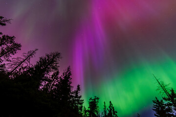 Amazing Aurora Borealis Northern Lights Seen Over Washington State, USA