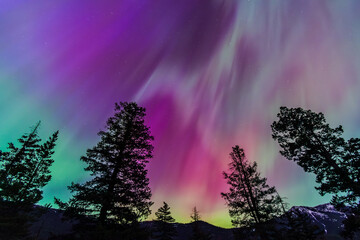 Amazing Aurora Borealis Northern Lights Seen Over Washington State, USA