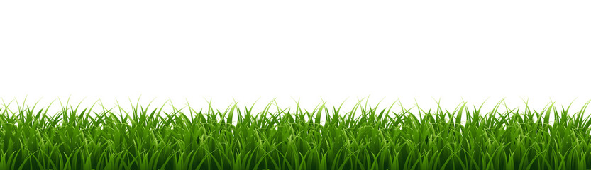 Green Grass Border Isolated White Background