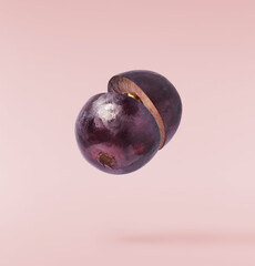 Fresh organic Blue Grape falling in the air isolated on pink background. Food levitation or zero...
