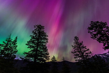 Amazing Aurora Borealis Northern Lights Seen Over Washington State, USA