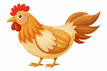 Fototapeta premium Cartoon chicken with red comb and orange feathers. Bright colors, farm animal, bird, poultry concept, illustration. Isolated on white background.