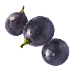 Fresh organic Blue Grape falling in the air isolated on white background. Food levitation or zero gravity conception.