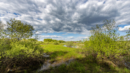 A tranquil springtime scene featuring a winding creek meandering through lush green meadows. Overhead, wispy clouds dance across a clear blue sky.