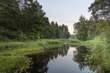 A tranquil river meanders through a dense forest, reflecting the soft twilight sky in its still waters. The lush green foliage surrounding the river creates a serene and peaceful atmosphere.