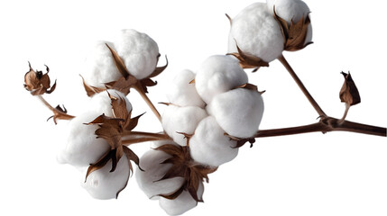 cotton, no people, a piece of one, solid background color, photography