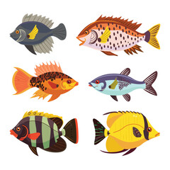 Fototapeta premium Colorful tropical fish species flat vector illustration isolated white background. Six different exotic fish, vibrant colors, underwater marine life design elements. Cartoonlike sea creatures fins