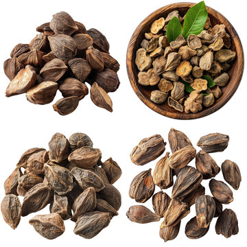 Photo of Triphala herb, Asian herbs, isolated on transparent background.