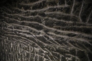 Wall surface in a halite salt mine