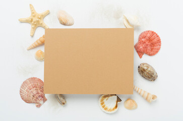 Summer banner with coconut and sea shells on color background. Vacation concept