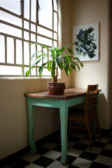 A sunlit corner with a green plant on a rustic desk, creating a cozy and peaceful home atmosphere