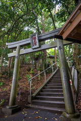 日本の鳥取県の砂丘地帯の美しい風景