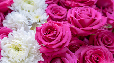 Large pink roses with white spider mums in rows. 