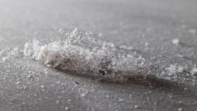 A lot of dust has accumulated on the floor under the bed